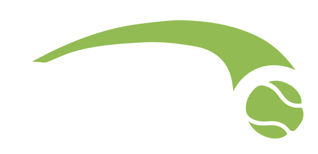 Guse's Tennis